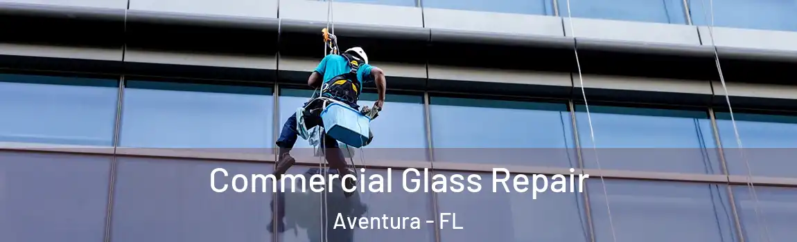 Commercial Glass Repair Aventura - FL