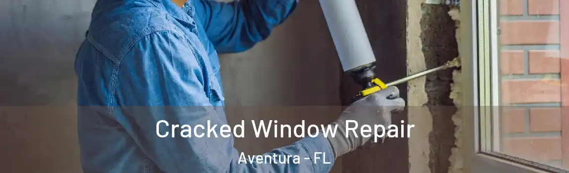  Cracked Window Repair Aventura - FL