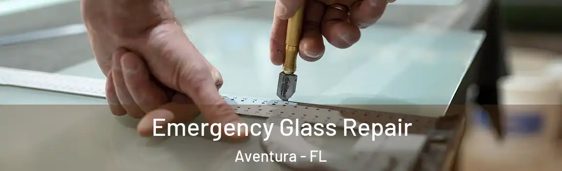 Emergency Glass Repair Aventura - FL