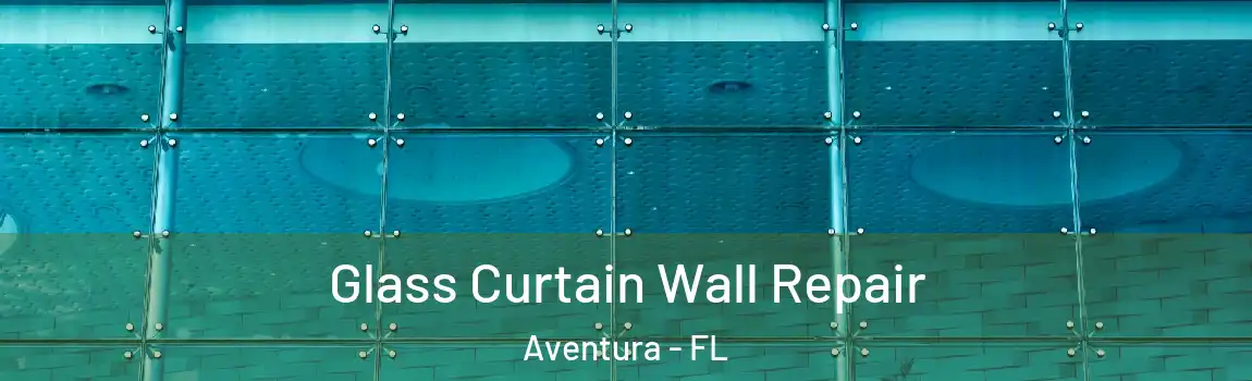 Glass Curtain Wall Repair Aventura - FL