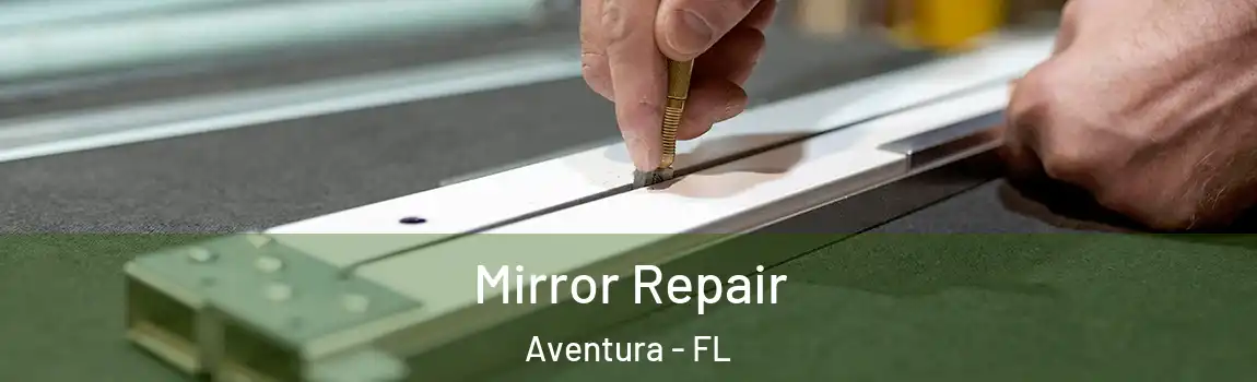  Mirror Repair Aventura - FL