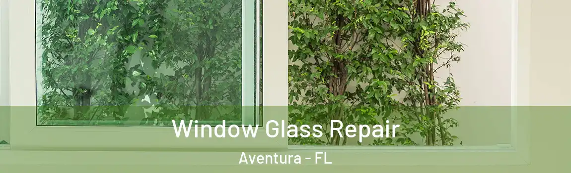 Window Glass Repair Aventura - FL