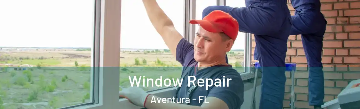 Window Repair Aventura - FL